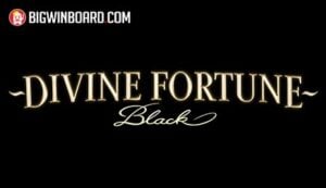 Bikini Paradise วิธีเล่น